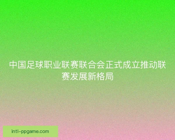 中国足球职业联赛联合会正式成立推动联赛发展新格局